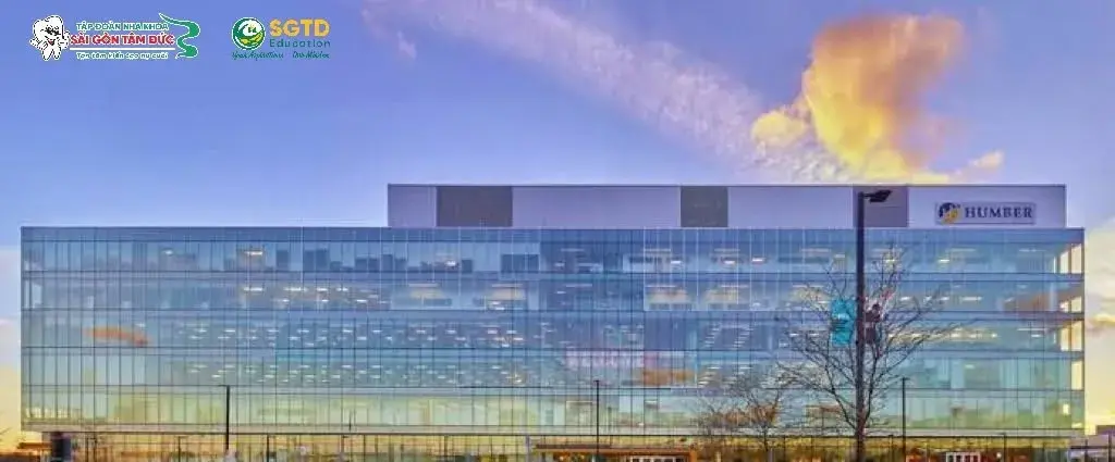 Humber Polytechnic – Bệ Phóng Học Tập và Nghề Nghiệp tại Canada (ảnh 7/7)