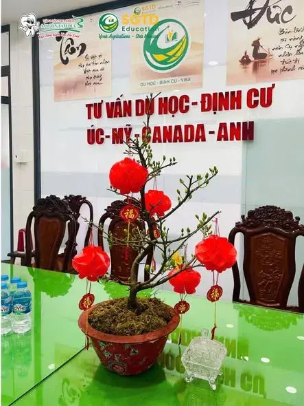 Tất Bật Chuẩn Bị - Rộn Ràng Đón Tết Bính Ngọ 2026 (ảnh 2/10)