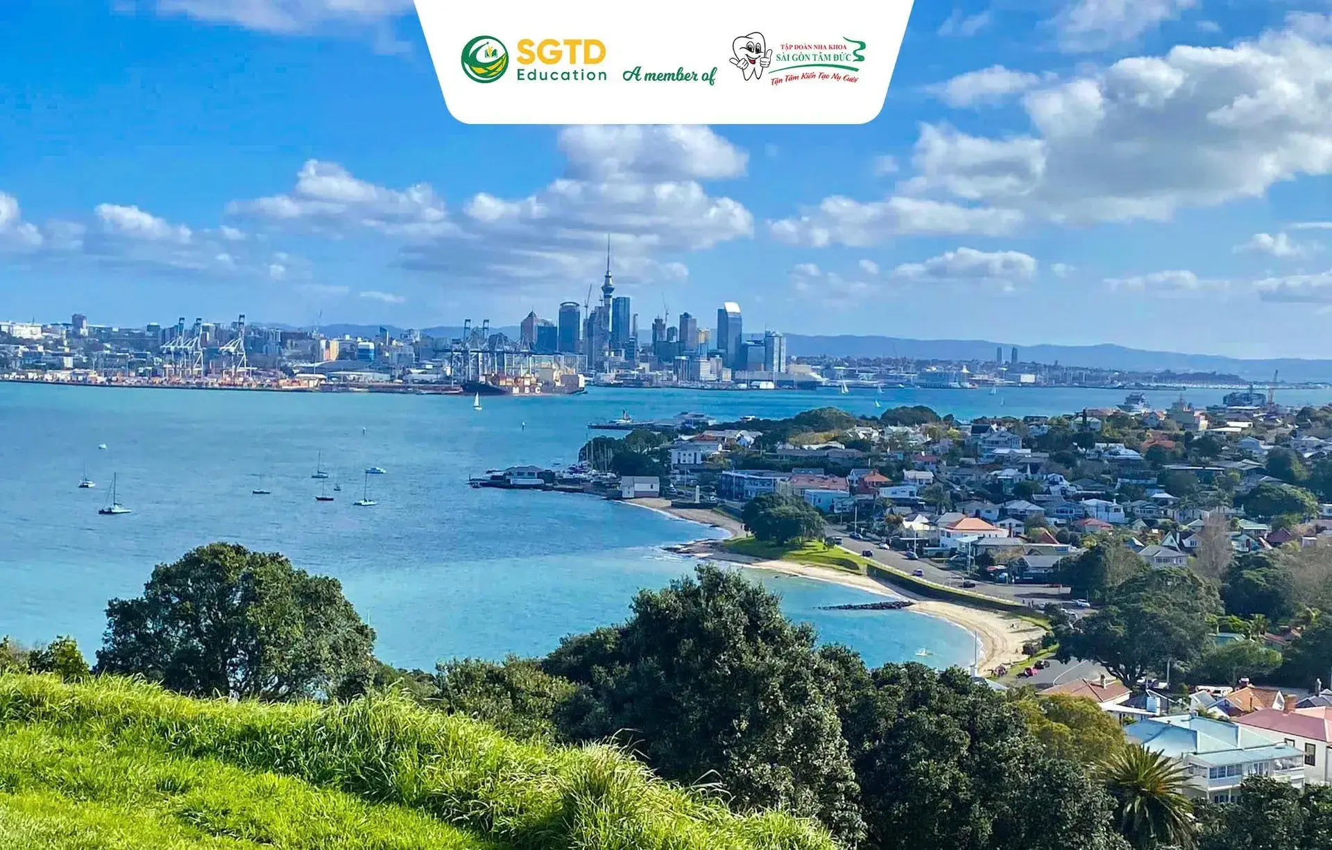 Top Những Lý Do Auckland Là Thành Phố Đáng Để Học Tập Nhất tại New Zealand (ảnh 6/6)